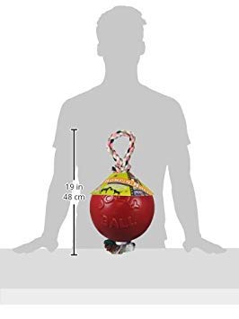 Romp-n-Roll Rope and Ball Dog Toy, 8 Inches/Large, Red (608 RD)