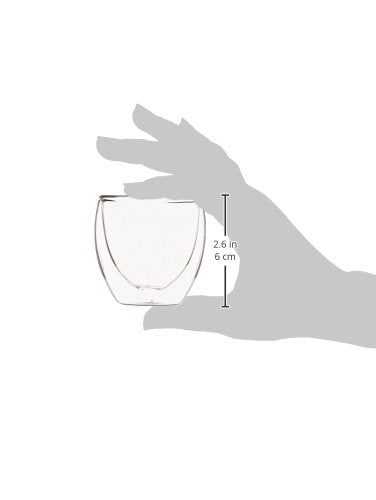 2.5oz Pavina Double Wall High-Heat Borosilicate Glass, Set of 2, Clear