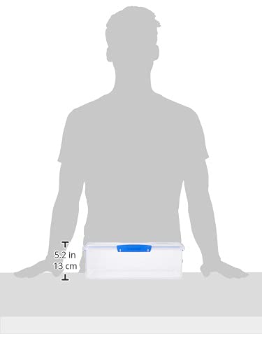 Large Food Storage Container with Lid for Lunch