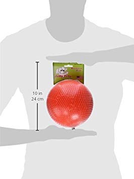 Dog 6-Inch Bounce-n-Play, Orange, 6 Inches/Medium