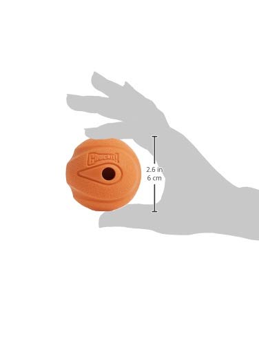 Chuckit Gen 1 Fetch Pack Dog Balls - Interactive Dog Toys, High-Bounce Fetch Ball, Floating Ultra and Rugged Balls, Durable - Size Medium, 2.5-inch Diameter, Set of 3