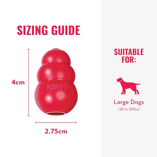 Classic Stuffable Dog Toy - Fetch & Chew Toy for Dogs - Treat-Filling Capabilities & Erratic Bounce for Extended Play Time - Durable Natural Rubber Material - for Large Dogs