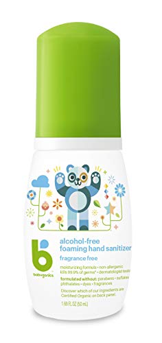 Alcohol-Free Foaming Hand Sanitizer, On-The-Go, Fragrance Free, 1.69 oz, Packaging May Vary