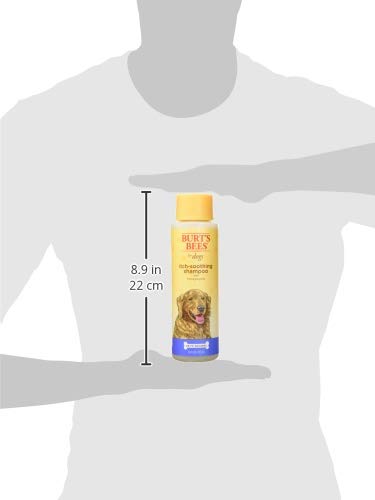Burt's Bees for Pets Itch Soothing Shampoo with Honeysuckle, 95% Natural Origin Formulas, Dog Shampoo for Itchy Dogs, Dog Shampoo Itchy Skin Relief, 16 oz