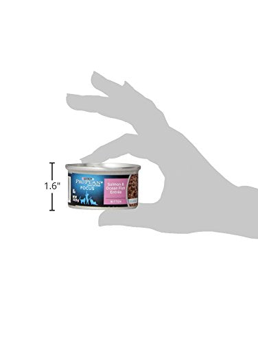 Wet Kitten Food Pate, Salmon and Ocean Fish Entree - (Pack of 24) 3 oz. Pull-Top Cans
