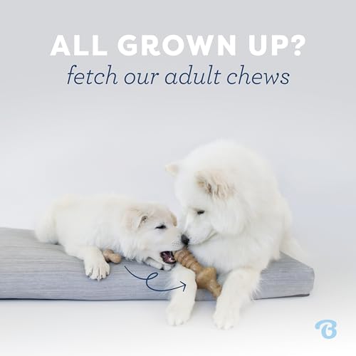 Puppy 2-Pack Dental Chew/Wishbone Dog Chew Toys, Made in USA, Real Bacon Flavor