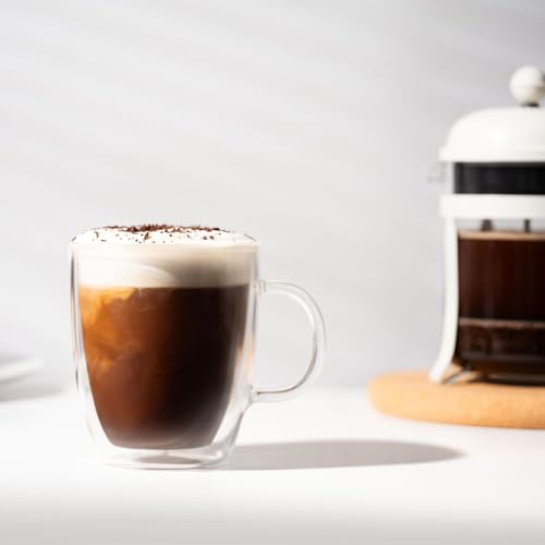 10oz Bistro Double Wall Insulated Mug, High-Heat Borosilicate Glass, Set of 2, Clear