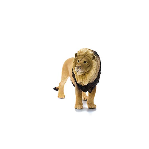 14812 - Lion