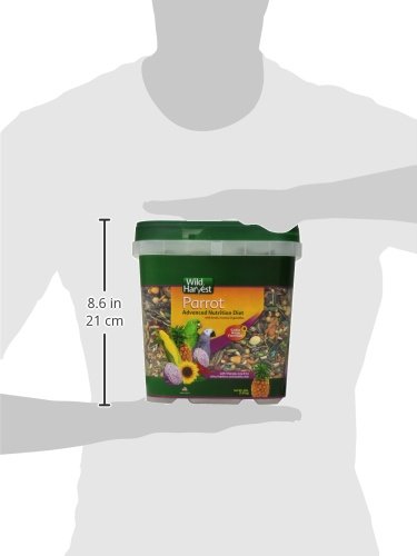 Advanced Nutrition Parrot, 4 Pounds, Seed, Grain And Vegetable Mix