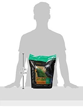 Roudybush Daily Maintenance Bird Food, Small, 10-Pound