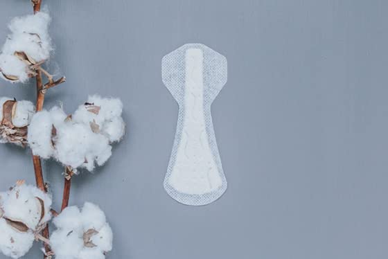 Natural Organic Thong Style Panty Liners -- 30 Pads (2 packs)