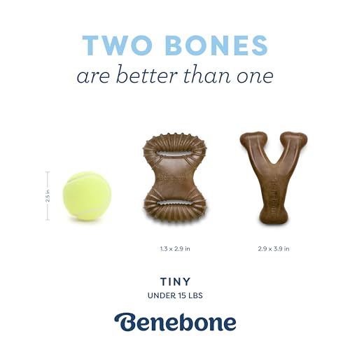 Puppy 2-Pack Dental Chew/Wishbone Dog Chew Toys, Made in USA, Real Bacon Flavor
