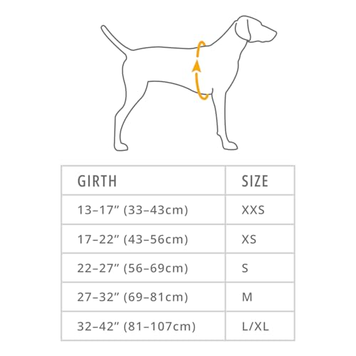 , Front Range Dog Harness, Reflective Soft Padded Everyday Harness with Dual Leash Clips, Adjustable and Lightweight Fit for Training or Walking for All Dogs, Blue Moon, Large/X-Large