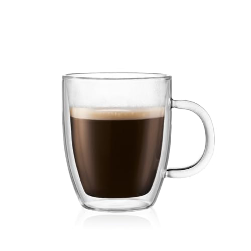 10oz Bistro Double Wall Insulated Mug, High-Heat Borosilicate Glass, Set of 2, Clear