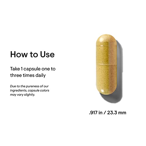 Stress B-Complex - Vitamins B2, B6, B12, and Folate in Highly-Absorbable and Active Forms - Extra Vitamin B5 for Adrenal Support, Stress Management and Immune Function* - 60 Capsules