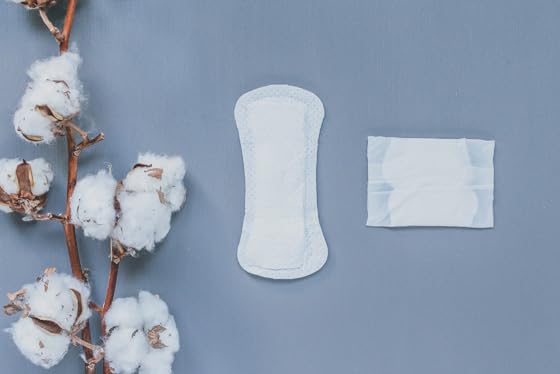 Normal Wrapped Panty Liners, 18 Count