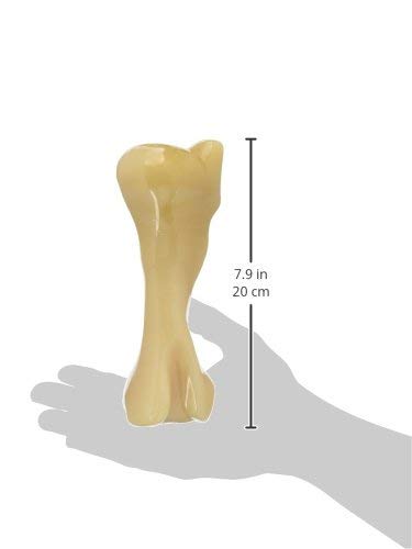 Power Chew Femur Bone BIG Dog Chew Toy Chicken XX-Large/Monster - 50++ lbs. (1 Count)