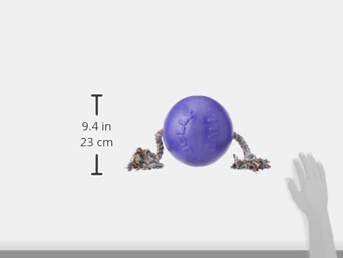 Romp-n-Roll Rope and Ball Dog Toy, 8 Inches/Large, Purple, Large Breeds