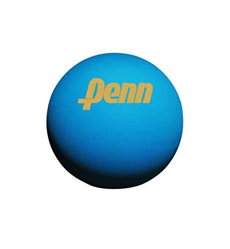 Ultra-Blue Racquetball (3 Ball Can)