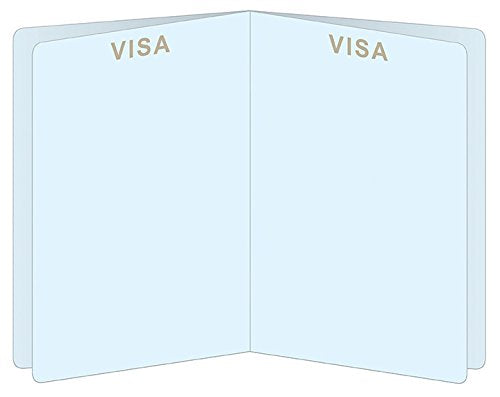 Set of 8 Around The World Passports, Global Adventure Travel Party Favors, Made In USA Since 1900