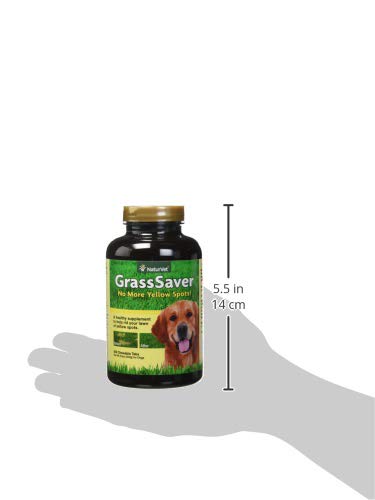 – GrassSaver Supplement for Dogs – Healthy Supplement to Help Rid Your Lawn of Yellow Spots – Synergistic Combination of B-Complex Vitamins & Amino Acids – 500 Tablets