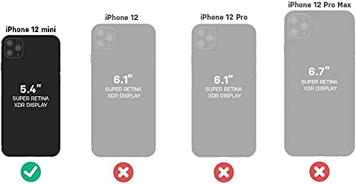Symmetry Clear Series Case for iPhone 12 Mini, Non-Retail Packaging - (Shell Shocked)