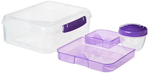 Bento Box Adult Lunch Box with 2 Compartments, Sandwhich,Salad Dressing Container,Dishwasher Safe,Color May Vary