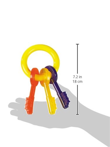 Puppy Chew Key Ring Toy, Toys for Teething Puppies, Multi Color, Bacon Flavor, Small - Up to 25 lbs, 1 Count