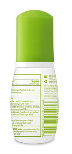 Alcohol-Free Foaming Hand Sanitizer, On-The-Go, Fragrance Free, 1.69 oz, Packaging May Vary