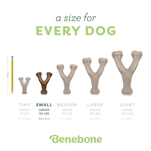 Wishbone Durable Dog Chew Toy for Aggressive Chewers, Made in USA, Small, Real Bacon Flavor