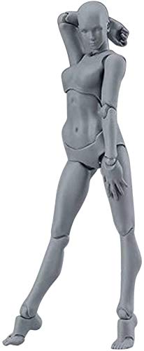 Body Kun Doll, Artists Manikin Blockhead Jointed Mannequin Drawing Figures for Figure Model Male+Female Set (Gray)