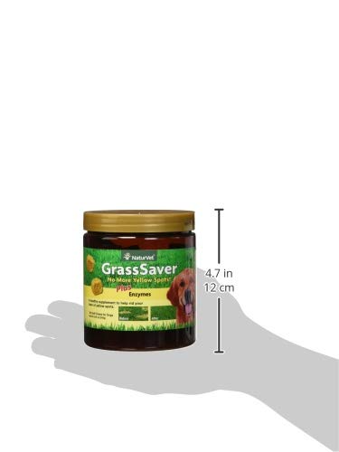 – GrassSaver Supplement for Dogs – Healthy Supplement to Help Rid Your Lawn of Yellow Spots – Synergistic Combination of B-Complex Vitamins & Amino Acids – 120 Soft Chews