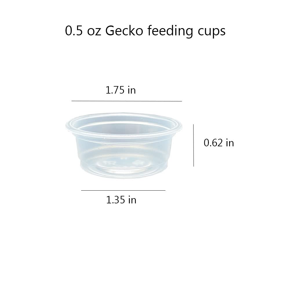100 pcs Small Gecko Food and Water Cups Plastic Reptile Feeding Bowls Ledge Accessories for Crested Gecko Lizards Small Pets, 0.5 oz