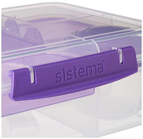 Bento Box Adult Lunch Box with 2 Compartments, Sandwhich,Salad Dressing Container,Dishwasher Safe,Color May Vary