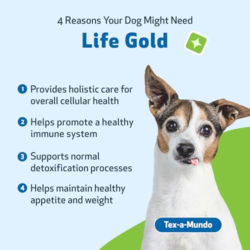 Life Gold for Dogs - Immune Support, Antioxidants, Normal Detoxification, Cellular Health, Astragalus - Veterinarian-Formulated Herbal Supplement 4 oz (118 ml)