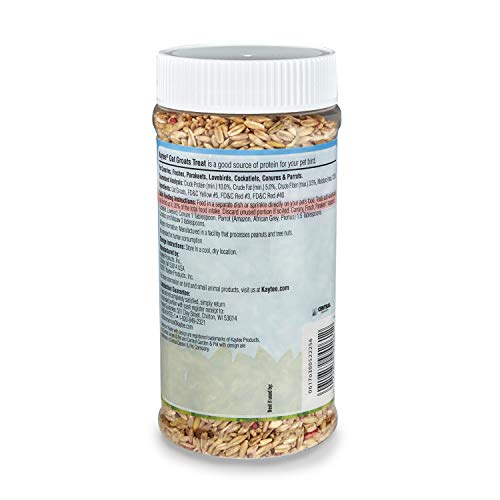 Oat Groats Treat Jar- All Pet Birds 11 oz