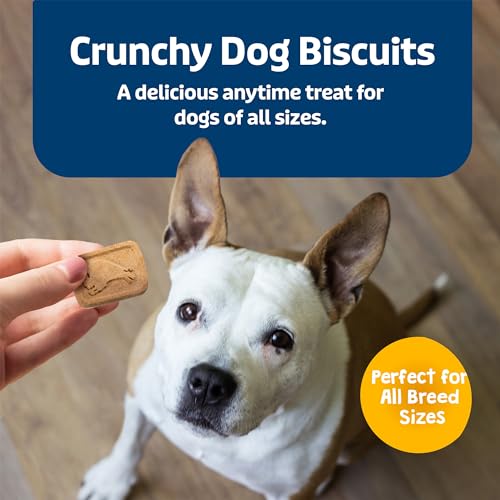 Health Bars Crunchy Dog Biscuits, Oven-baked Dog Treats Made with Natural Ingredients, Bananas & Yogurt, 16-oz Bag