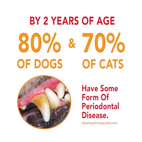 Toothpaste for Dogs and Puppies, Cleans Teeth and Fights Bad Breath, Reduces Plaque and Tartar Formation, Enzymatic Toothpaste, Poultry Flavor, 6.2oz