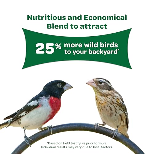 Wild Bird Food Basic Seed Blend, 5 lb