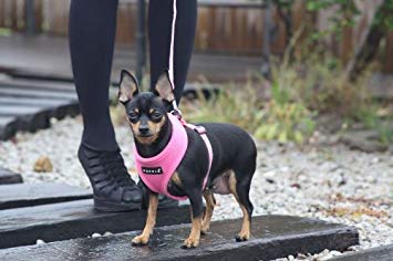 Soft Dog Harness No Choke Over-The-Head Triple Layered Breathable Mesh Adjustable Chest Belt and Quick-Release Buckle, Pink, X-Small