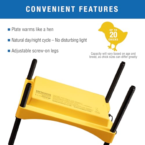 Ecoglow Safety 600 Chick or Duckling Brooder, Adjustable Height & Angle Brooder Plate for 20 Chicks, Ideal for Chicken Coops Poultry Heating with Safety Indicator, 12 Watts