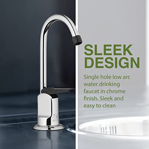3310-160-CH-B-Z Single Hole 1-Handle Low-Arc Drinking Water Faucet, Chrome Finish