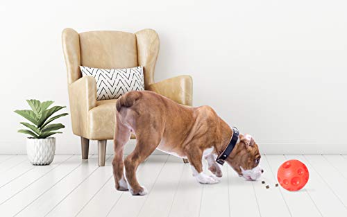 Authentic Tricky Treat Ball - Medium,Orange