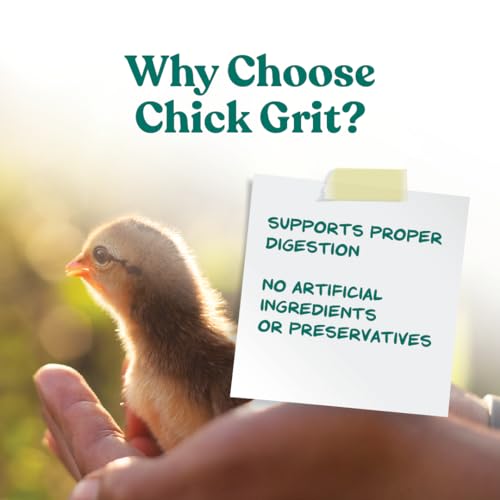 Chick Grit with Probiotics | Formulated with Probiotics and Supports Healthy Digestion | 5 Pounds