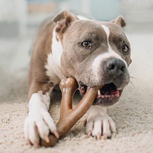 Wishbone Durable Dog Chew Toy for Aggressive Chewers, Real Peanut, Made in USA, Large