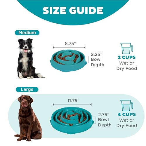 Fun Feeder Slo Bowl, Slow Feeder Dog Bowl, Large/Regular, Turquoise