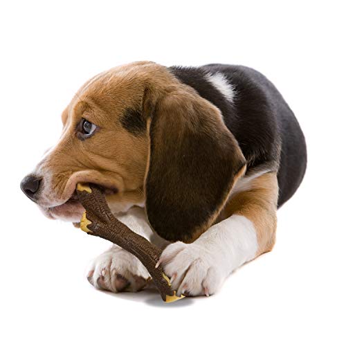 Real Wood Stick Toy Strong Chew Toy for Dogs, Rubber Dog Toys for Moderate & Aggressive Chewers, Bacon Flavor, Medium - Up to 35 lbs, 1 Count