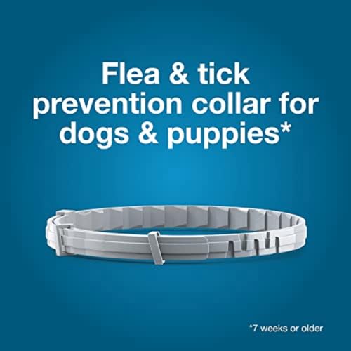 Large Dog Vet-Recommended Flea & Tick Treatment & Prevention Collar for Dogs Over 18 lbs. | 8 Months Protection