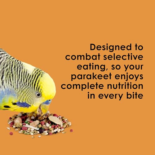 Fiesta Parakeet Food, Nutritious and Fun Blend, Supports Skin, Feather, Digestion, Brain and Heart Health, 4.5 pounds