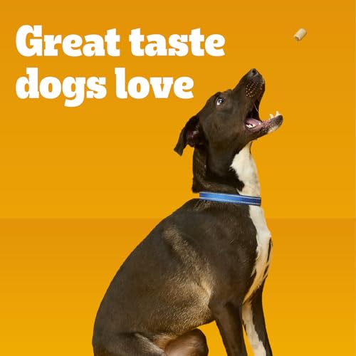 Dry Dog Treats MarroBone Real Beef Flavor, 6 lb. Bag